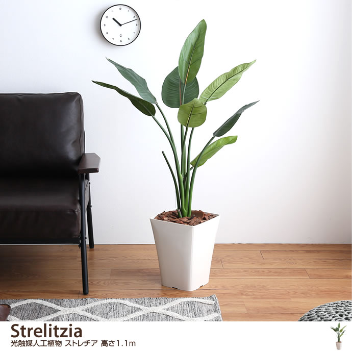 Strelitzia 光触媒人工植物 ストレチア 高さ1.1m