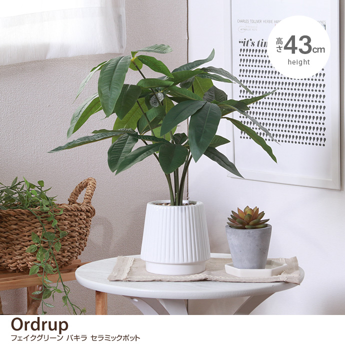 y43cmzOrdrup tFCNO[ pL Z~bN|bg