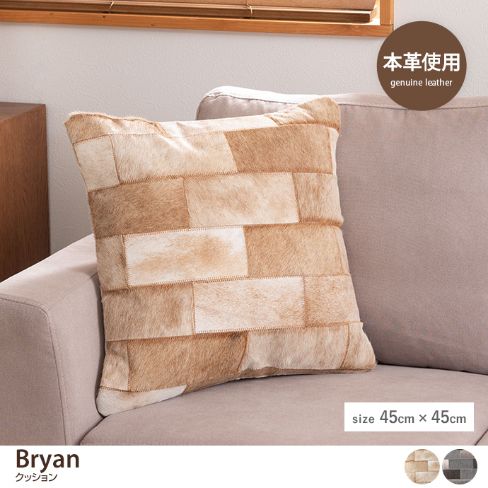 Bryan NbV