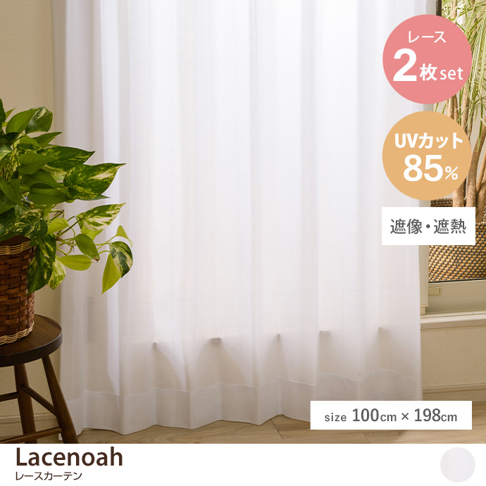 y2ZbgzLacenoah [XJ[e 100cm~176cm
