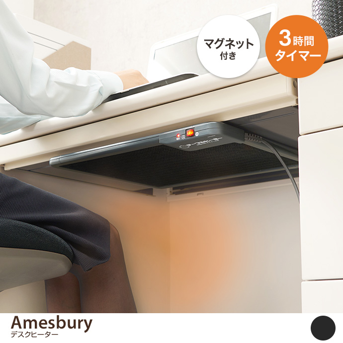 Amesbury fXNq[^[