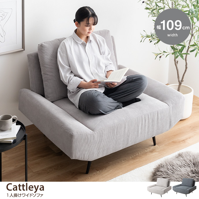 y109cmzCattleya 1l|Ch\t@
