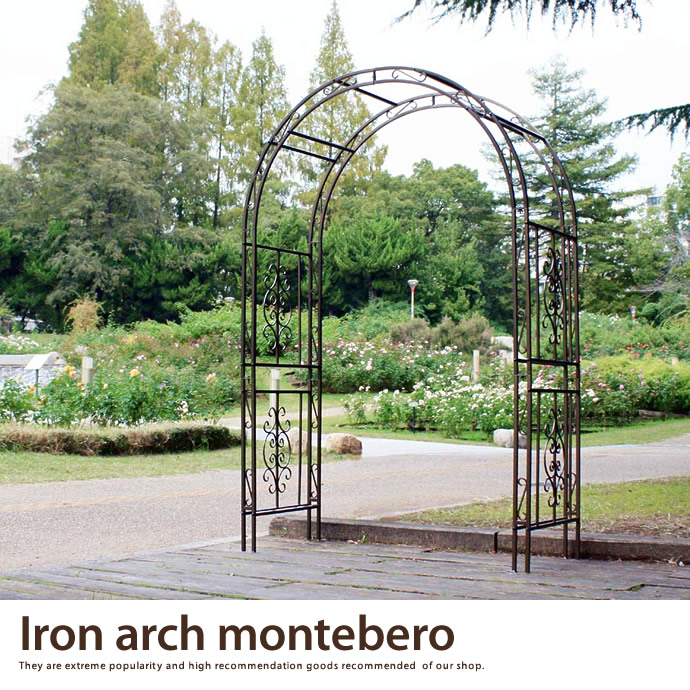 Iron arch motebero